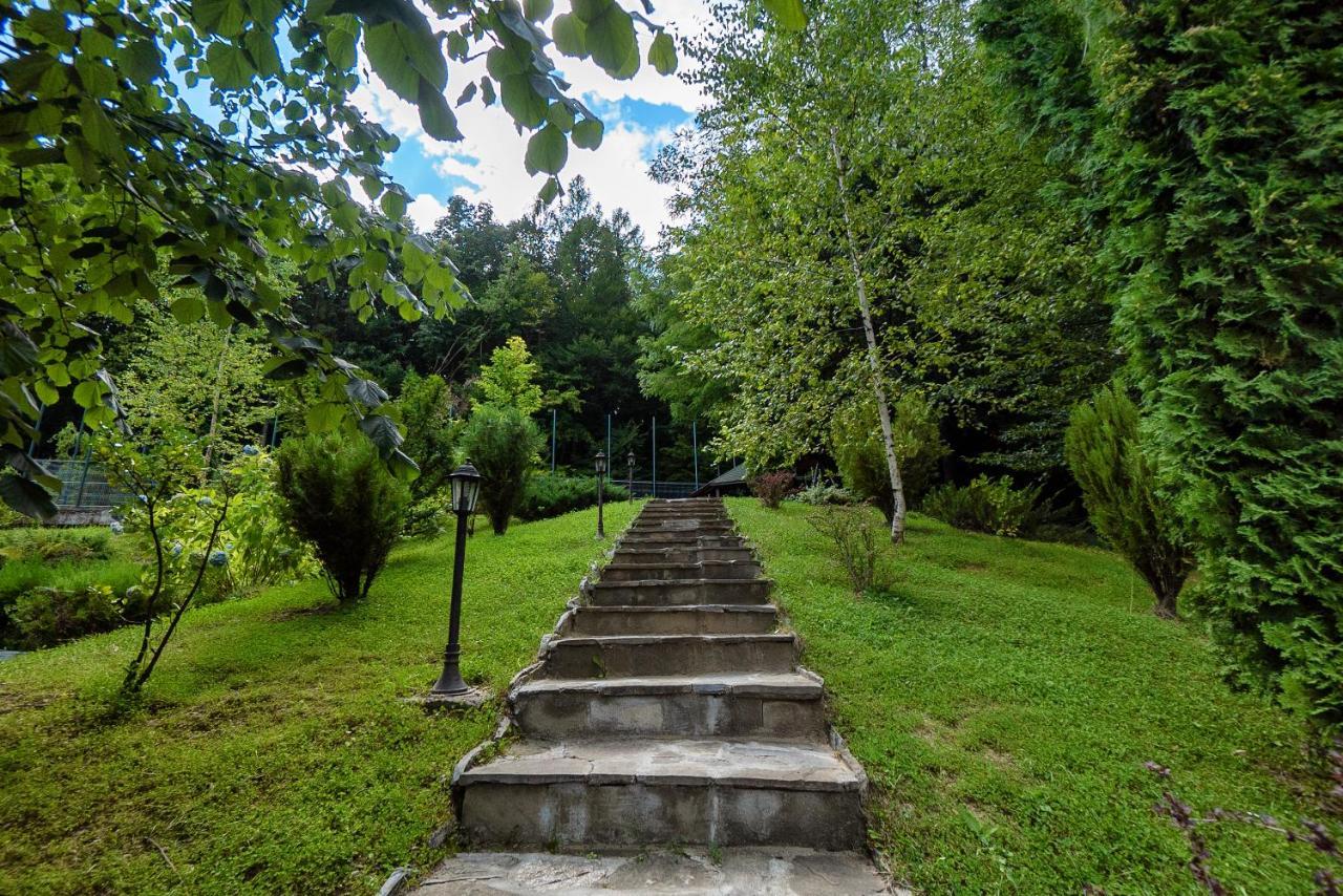 Hotel Tisa Băile Olăneşti Exterior foto